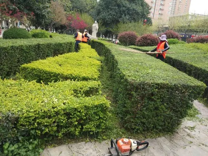 香港为何重视绿化工程呢